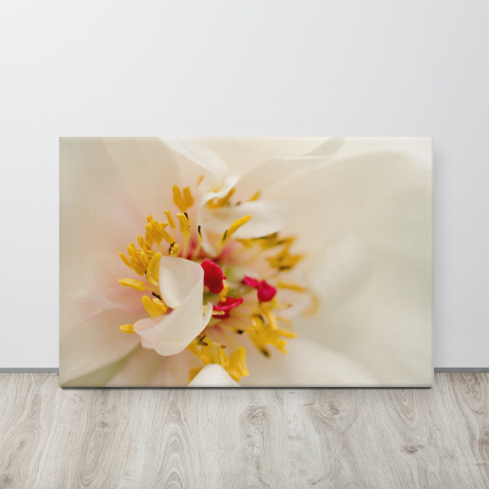 Eye of Peony Floral Nature Photography Canvas Wall Art Print, 24" X 36"
