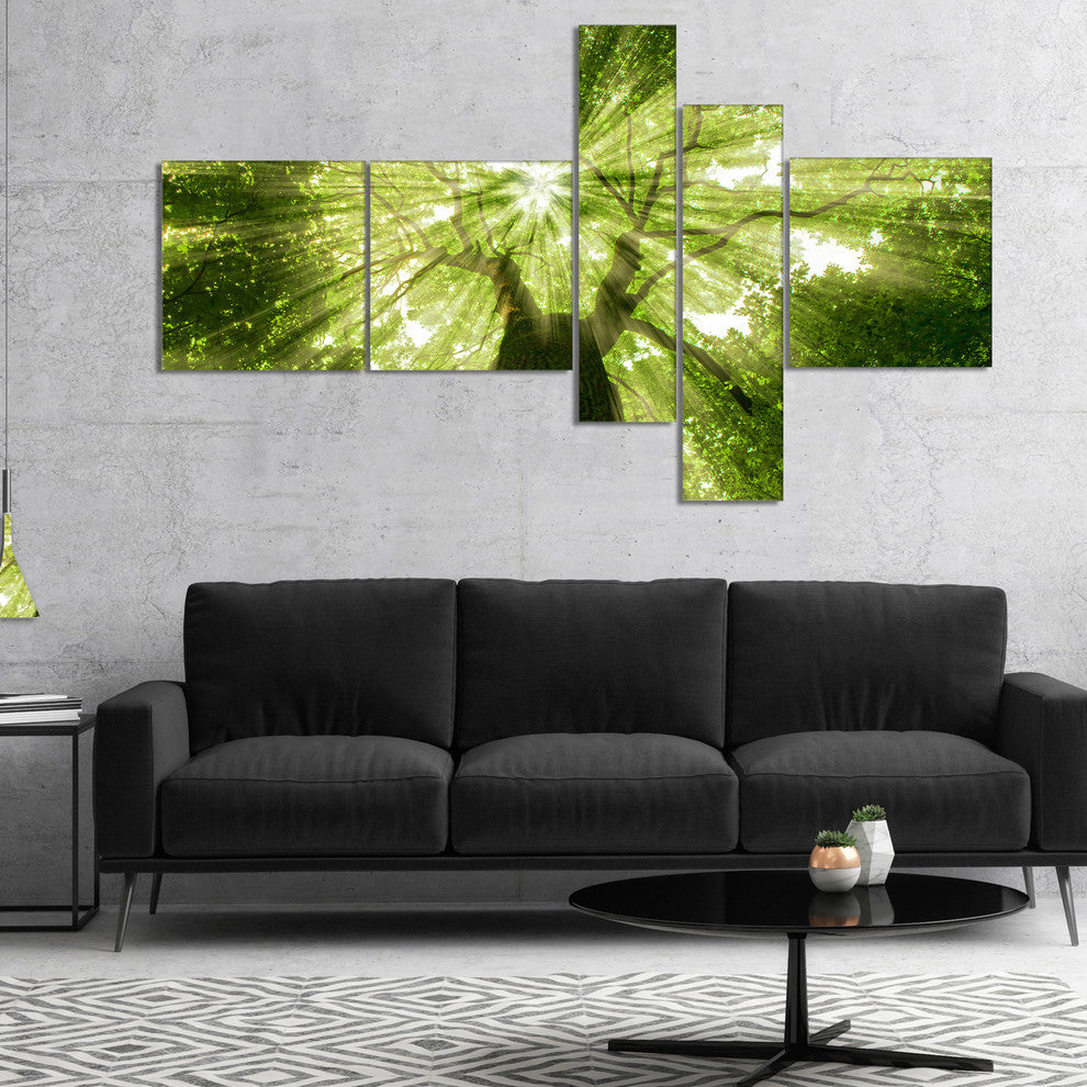 Sunlight Peeking through Green Tree, Landscape Canvas Print, 60"x32", 5 panels