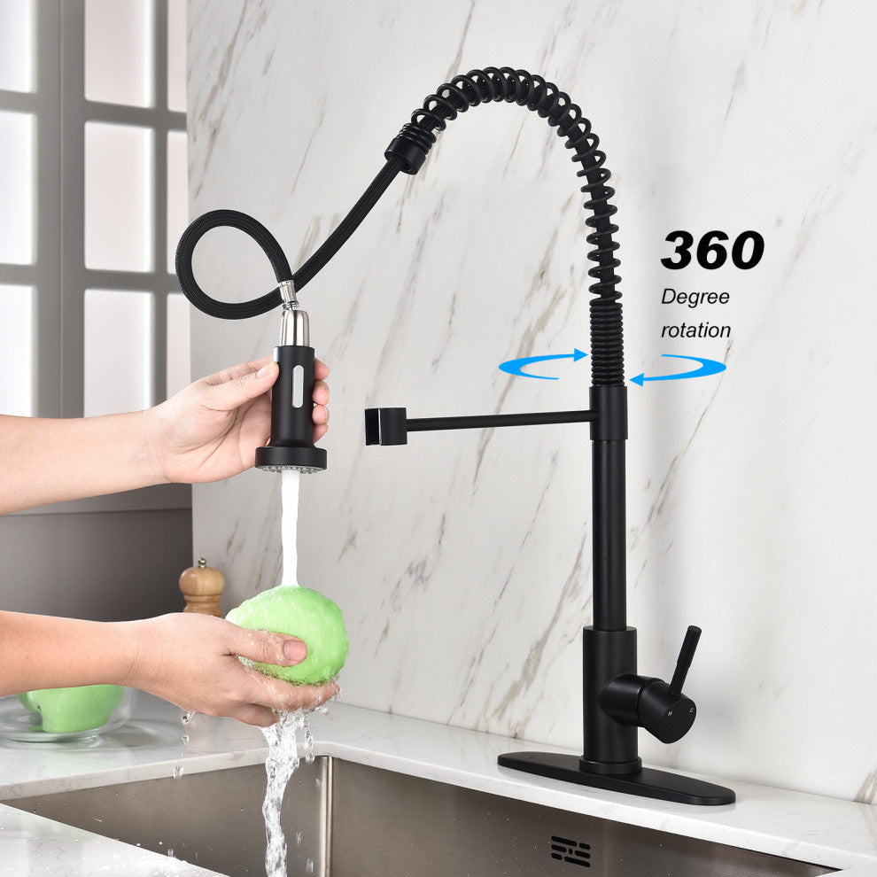 Wellfor Single Handle Kitchen Sink Faucet With Pull Down Sprayer