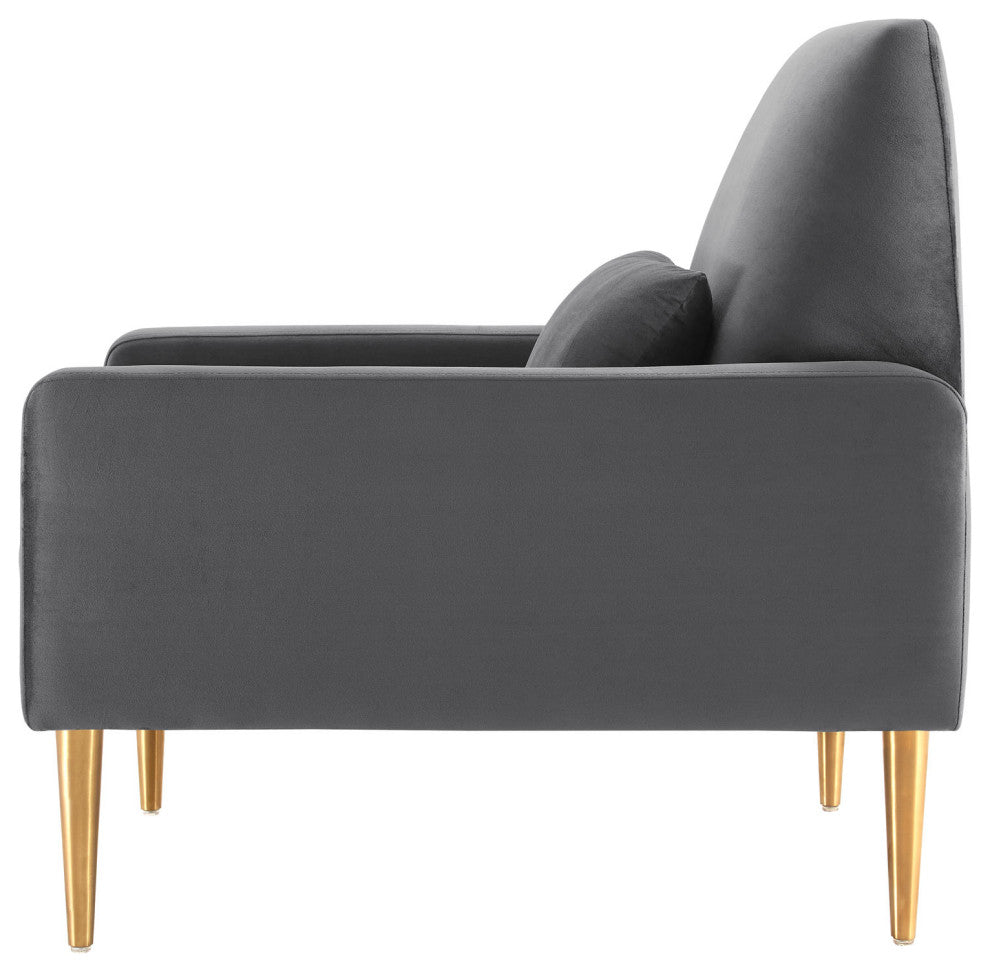 Armchair Accent Chair, Charcoal Gray, Velvet, Modern, Mid Century Lounge
