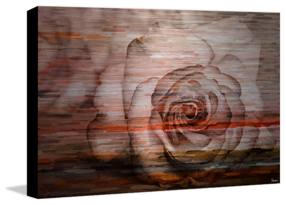"Sleeping Rose" UV Ink Print on Brushed Aluminum, 60"x40"