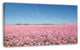 Beautiful Meadow under Blue Sky, Floral Canvas Art Print, 32"x16"