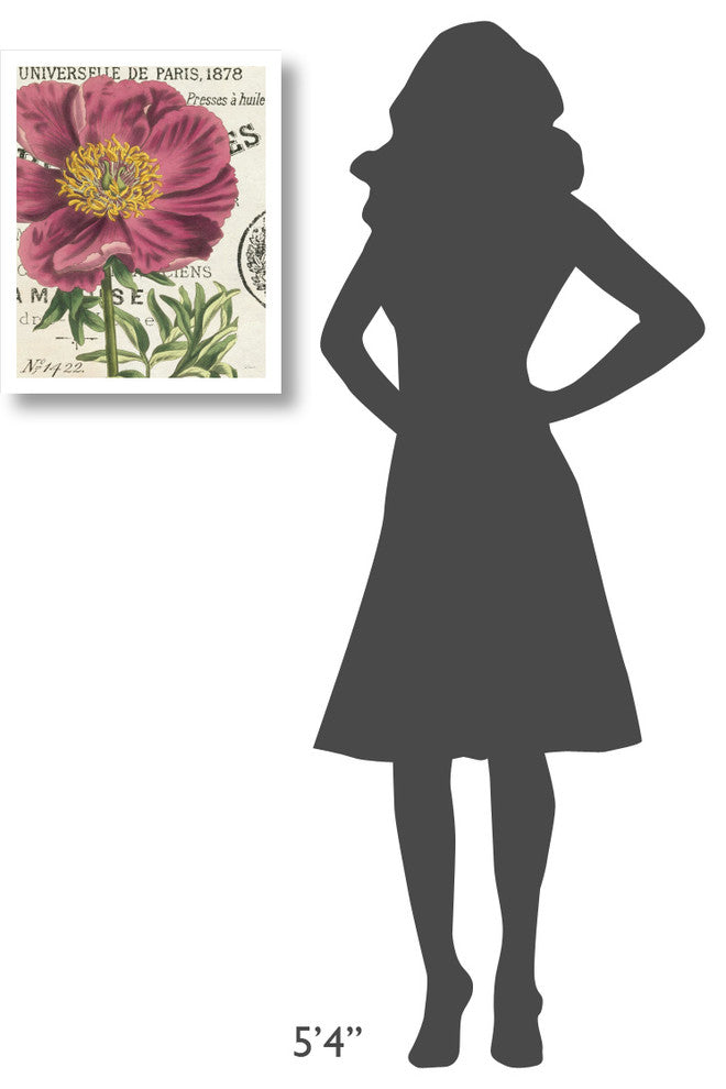 "Peony Botany" Digital Paper Print by Sue Schlabach, 18"x22"