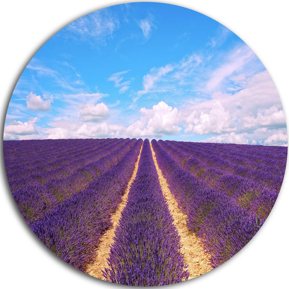 Blooming Lavender Flower Field, Landscape Large Disc Metal Artwork, 11"