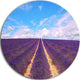 Blooming Lavender Flower Field, Landscape Large Disc Metal Artwork, 11"