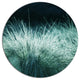Wet Green Grass In Downpour, Landscape Round Wall Art, 23"