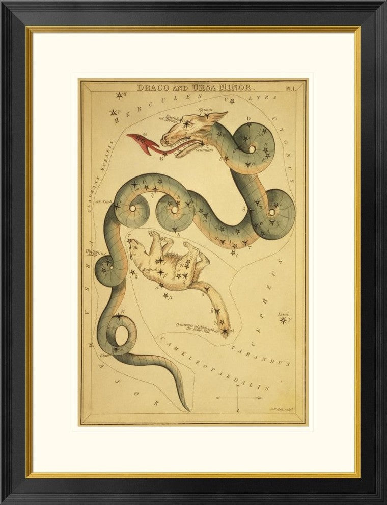 "Draco and Ursa Minor, 1825" Framed Digital Print by Jehoshaphat Aspin, 26"x34"
