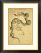 "Draco and Ursa Minor, 1825" Framed Digital Print by Jehoshaphat Aspin, 26"x34"