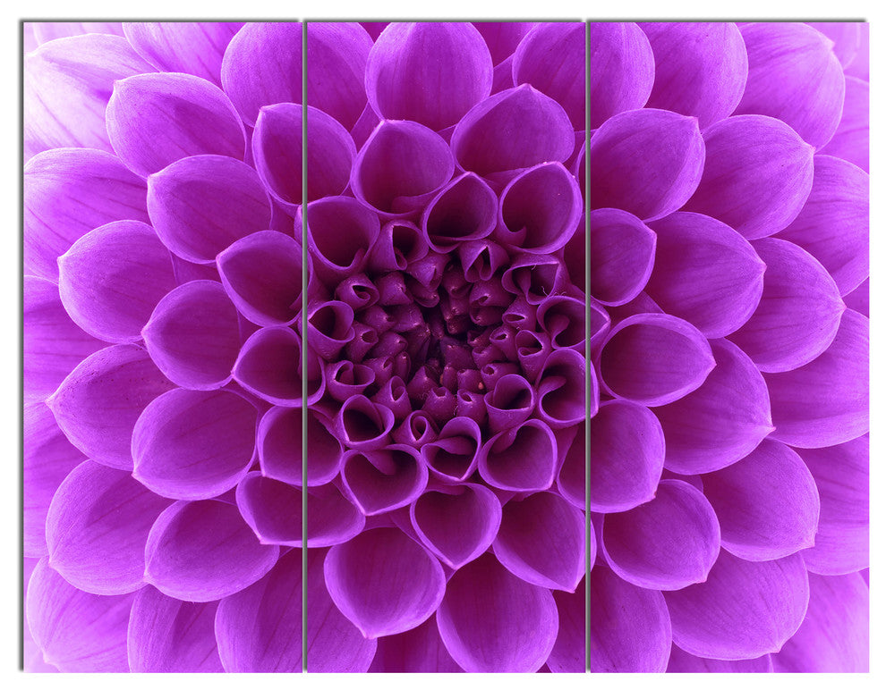 Light Purple Abstract Flower Petals, Floral Triptych Canvas Art, 36x28, 3 Panels