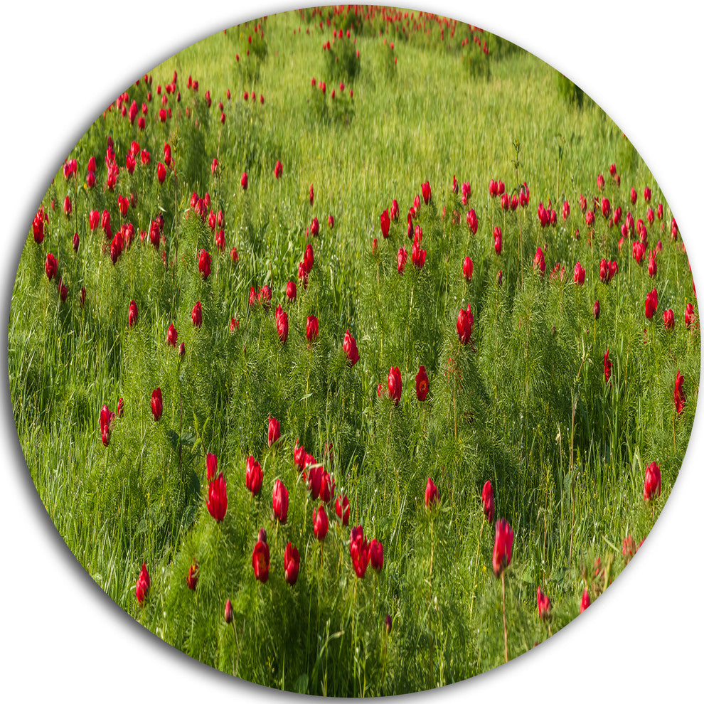 Wild Peonies Flower In Steppe, Landscape Large Disc Metal Wall Art, 23"