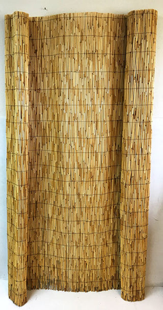 Reed Fence, 72"h
