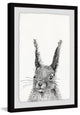 "Gray Rabbit" Framed Painting Print, 30"x45"