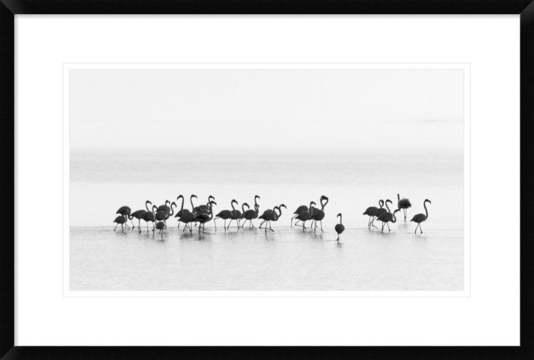 "Flamingos" Framed Digital Print by Joan Gil Raga, 30"x20"