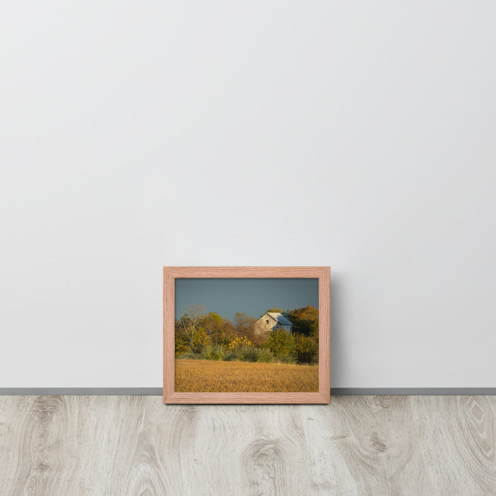 Abandoned Barn In The Trees Framed Photo Paper Wall Art Prints, Red Oak, 8" X 10"