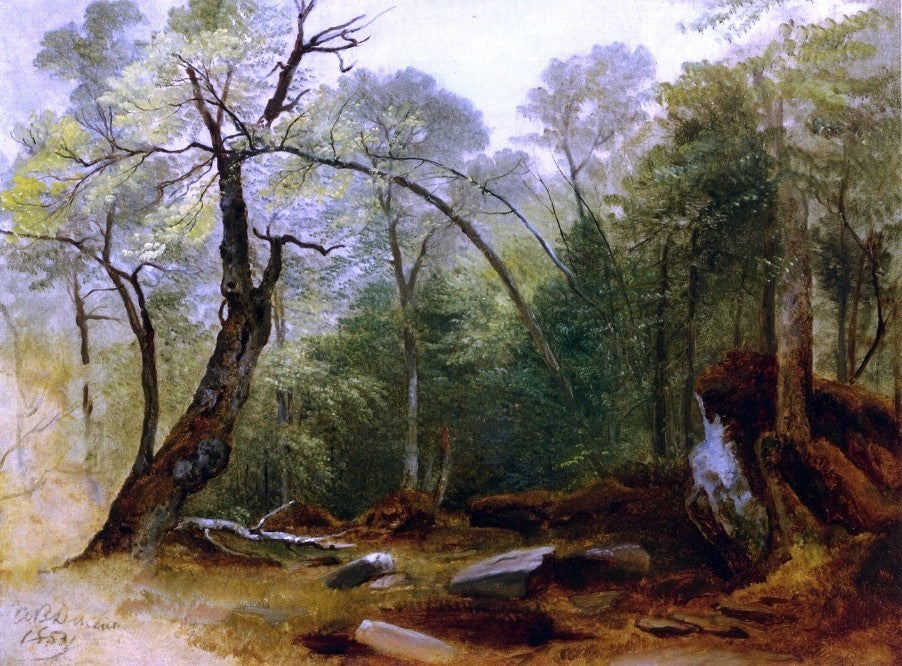 Asher Brown Durand Study in the Woods, 21"x28" Wall Decal Print