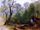 Asher Brown Durand Study in the Woods, 21"x28" Wall Decal Print