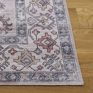 Safavieh Arizona Machine-Washable Collection ARZ243 Rug, Sage/Rust, 8'x10'