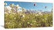 Blooming Mountain Meadow Flowers, Large Flower Canvas Art Print, 32"x16"
