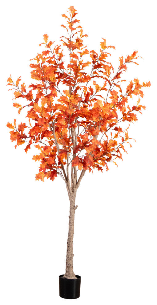 Close-up of the tree trunk against white background.