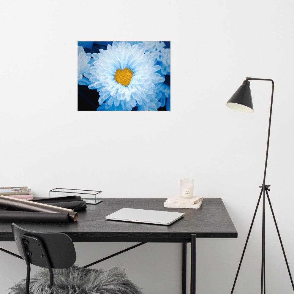Blue Tinted Chrysanthemums Floral Nature Photo Loose Wall Art Print, 18" X 24"
