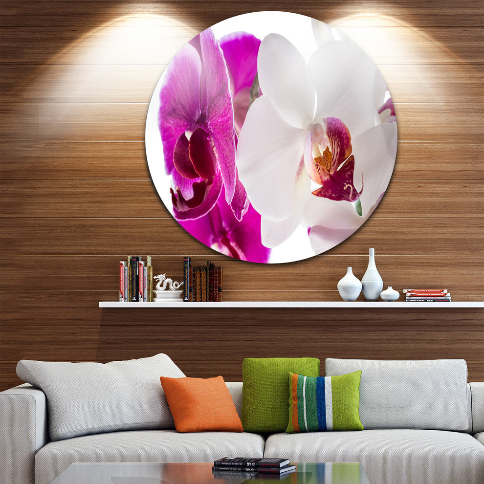 Blooming Orchid Flowers, Digital Art Disc Metal Wall Art, 23"