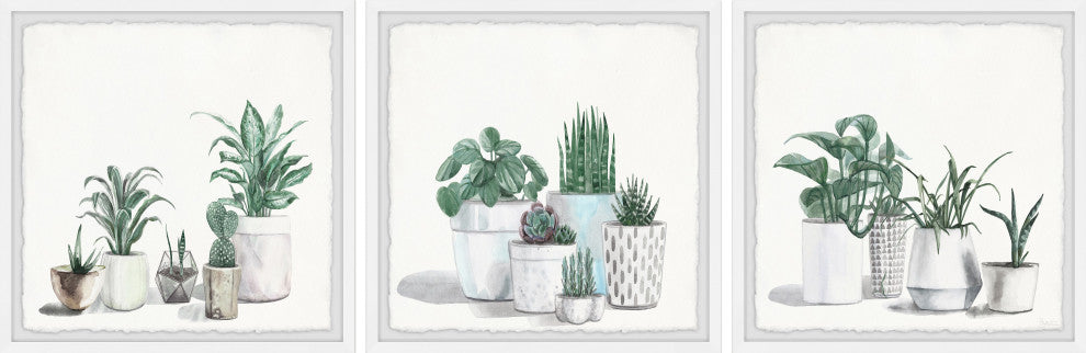 Urban Houseplants Triptych, Set of 3, 24x24 Panels