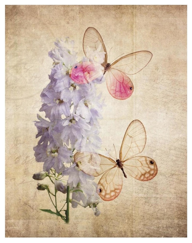 "Butterfly Botanical I" Digital Paper Print by Debra Van Swearingen, 22"x26"