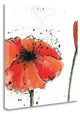 "Not A California Poppy III On White" By Chris Paschke, Gallery Wrap Canvas