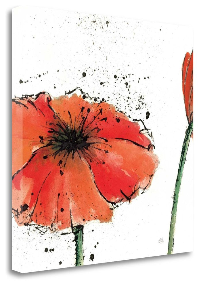 "Not A California Poppy III On White" By Chris Paschke, Gallery Wrap Canvas
