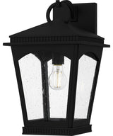 Huck One Light Outdoor Wall Lantern in Earth Black