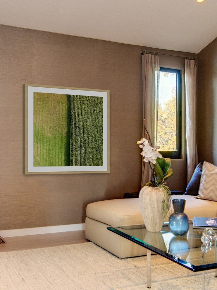 "Green Rows" Framed Print by Karolis Janulis