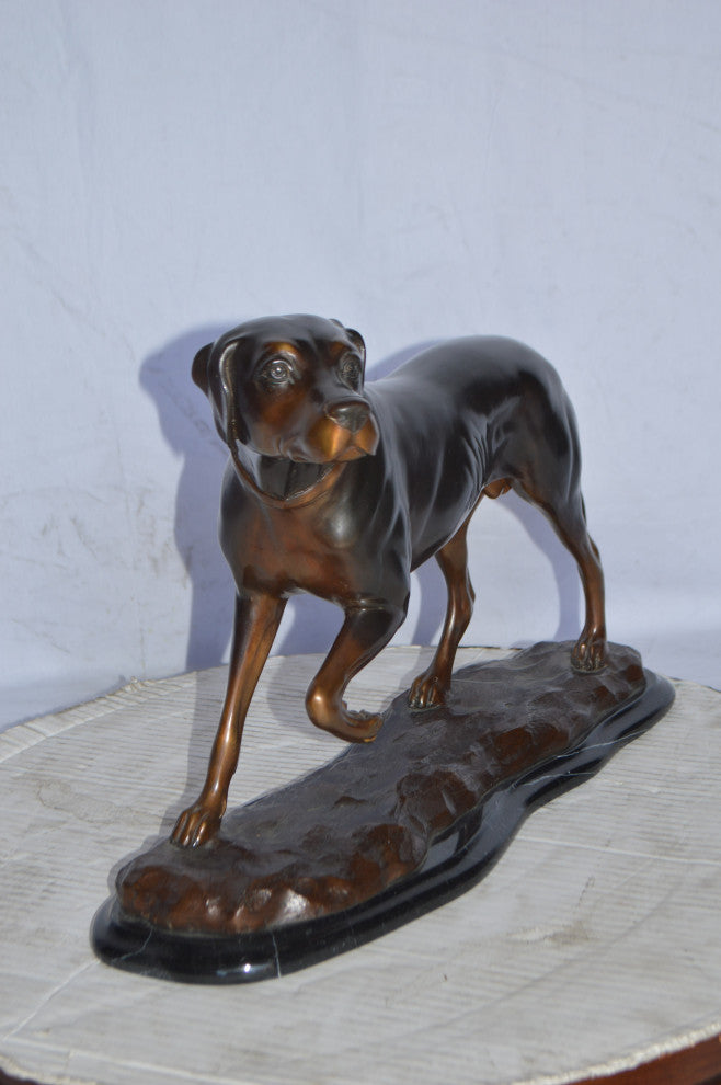 Black Labrador Bronze Statue Mounted on A Marble Size: 20"L x 8"W x 14"H.
