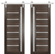 Double Barn Door 56 x 96 Frosted Glass, Quadro 4088 Chocolate Ash, Silver 13FT