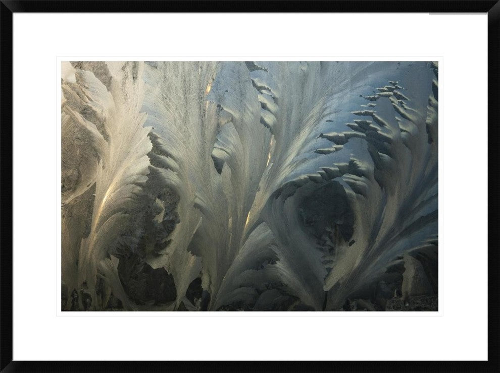 Frost Crystal Patterns On Glass, Ross Sea, Antarctica, 30"x22"