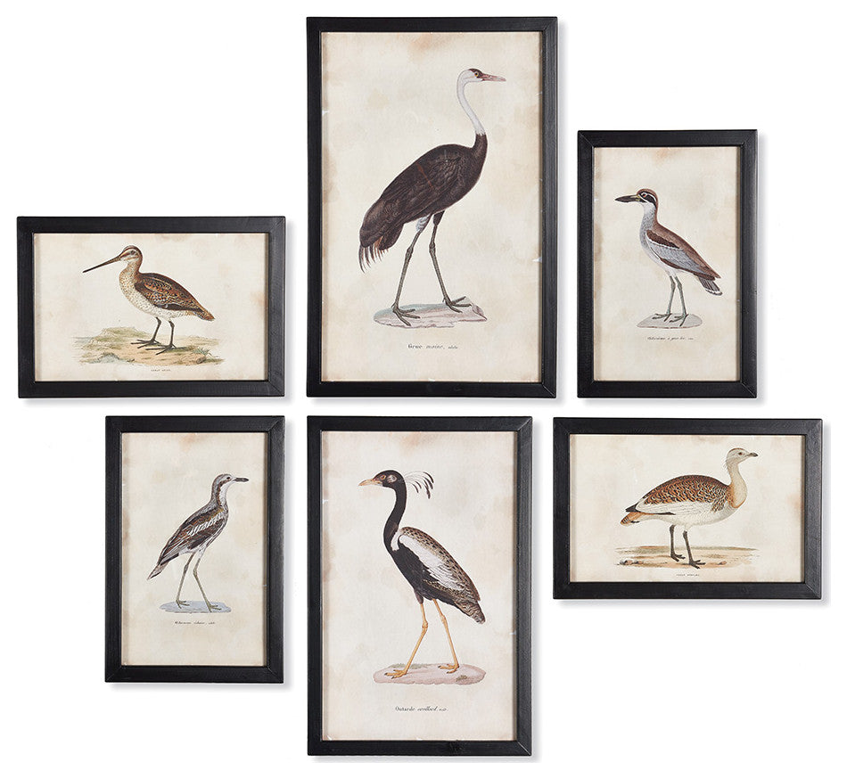 6-Piece Waterfowl Gallery Set