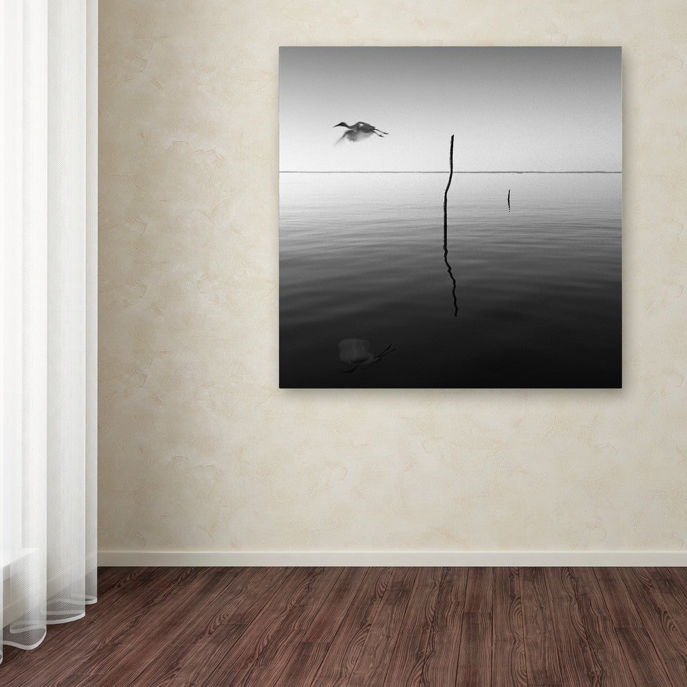 "Fly" Canvas Art by Moises Levy