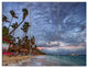 Long Palm Trees Bent to Beach, Seashore Triptych Canvas Print, 36x28, 3 Panels