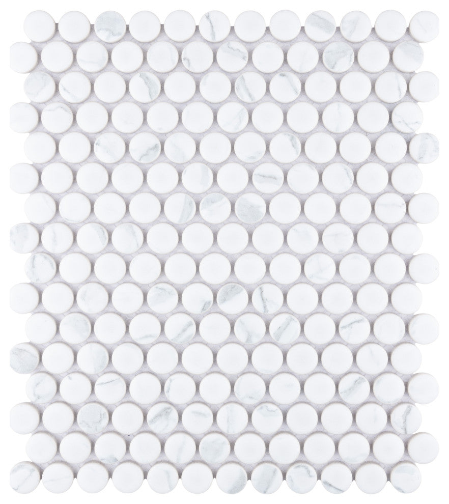 Carrione Penny Matte Carrara Porcelain Floor and Wall Tile