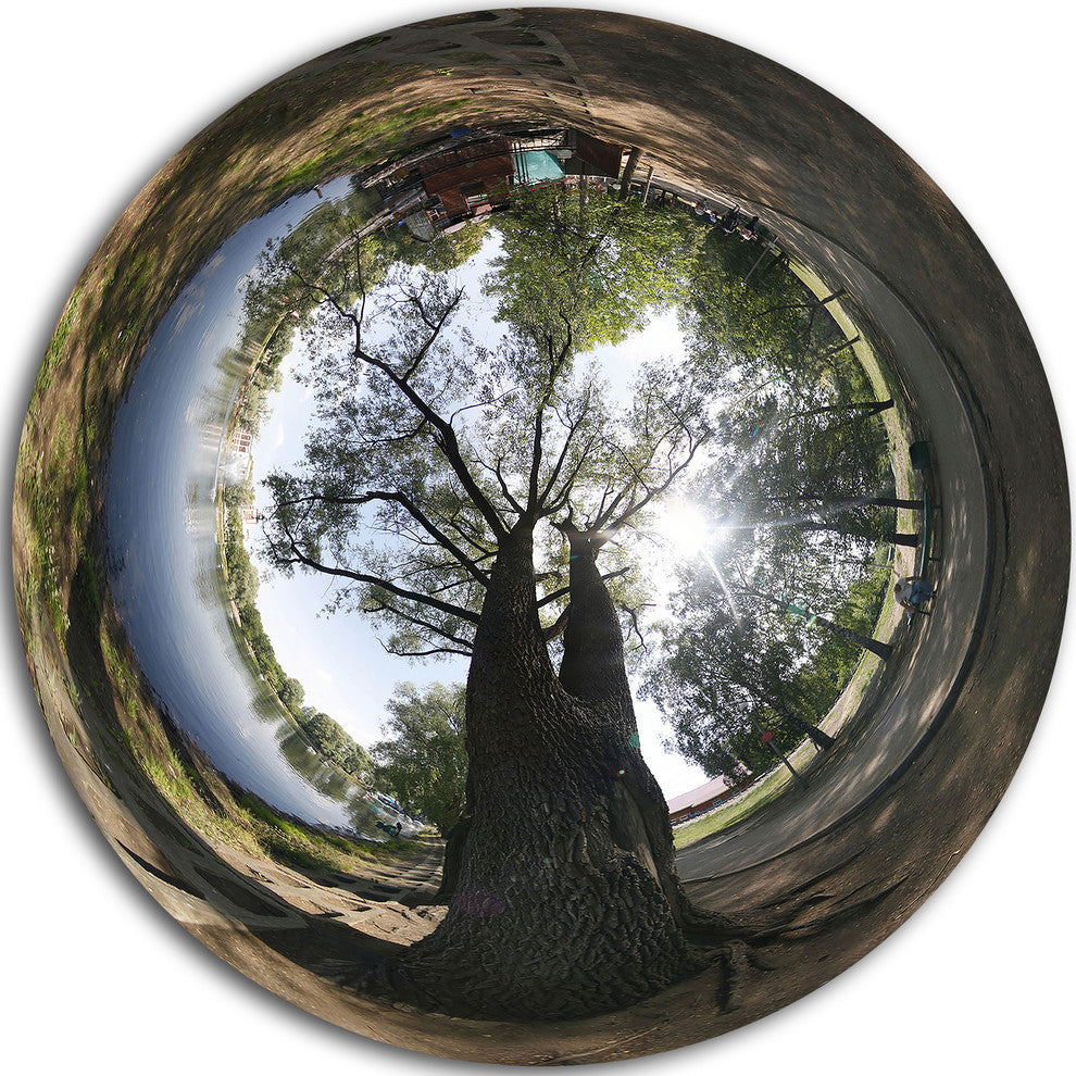 Ufa Little Planet Panorama, Tree Photography Disc Metal Wall Art, 11"