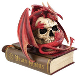 Blood Dragon Contemplation Box