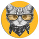Funny Cat With Glasses And Scarf, Animal Disc Metal Wall Art, 36"