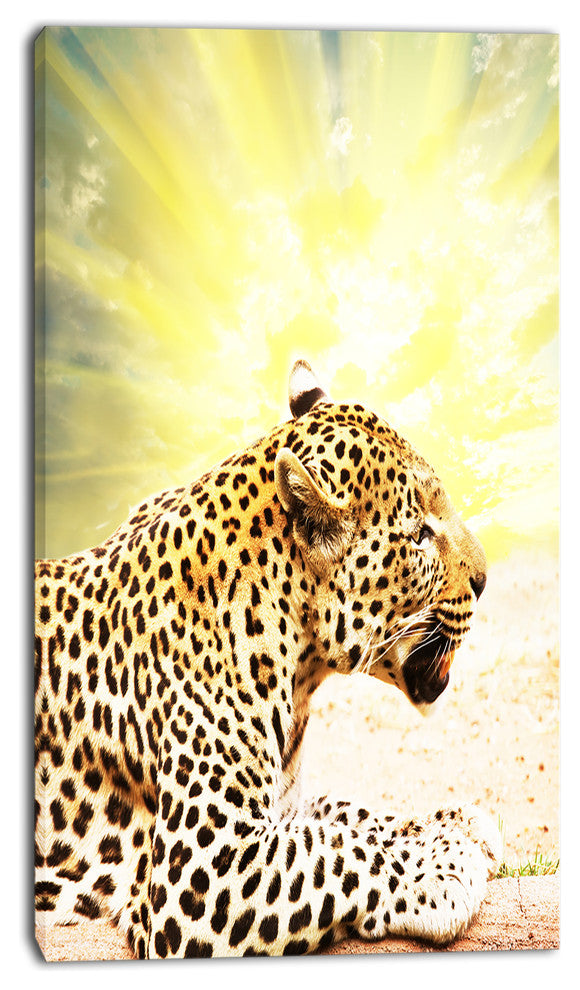 Ferocious Leopard At Sunrise, Animal Canvas Art Print, 16"x32"