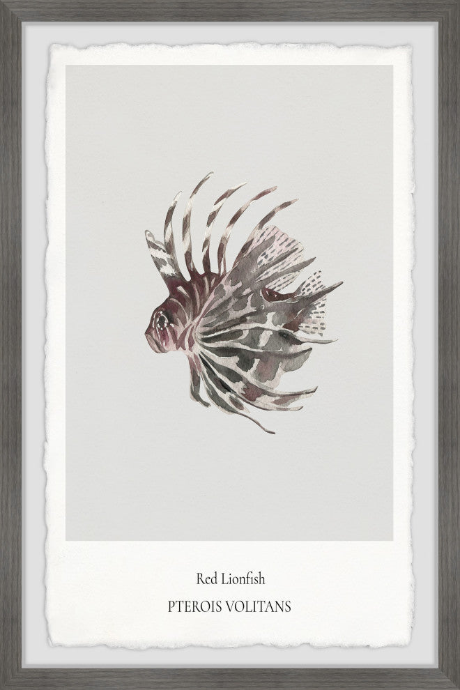 "Red Lionfish" Framed Painting Print, 12x18
