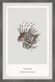 "Red Lionfish" Framed Painting Print, 12x18