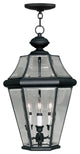 Georgetown Outdoor Chain-Hang Light, Black