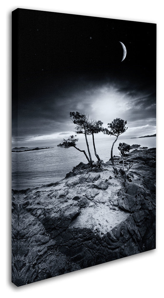 'Emotional High' Canvas Art by Philippe Sainte-Laudy