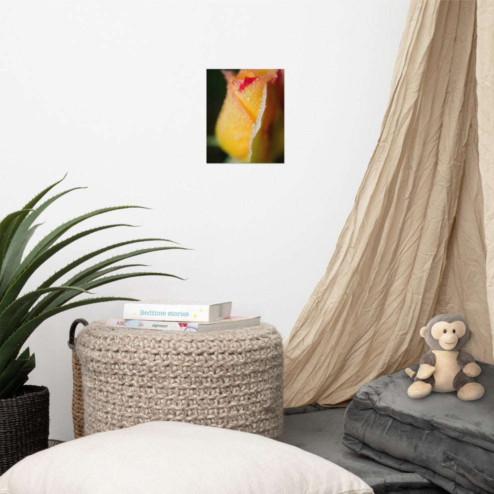 Dew on Yellow Rose Nature Photography, Floral Unframed Wall Art Print, 8" X 10"