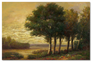 Daniel Moises 'Tranquility' Canvas Art, 30"x47"