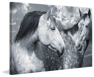 "Are We Buds" Print on Canvas by Maggie Dee
