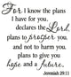 VWAQ For I Know the Plans I Have for You, Jeremiah 29:11, Bible Wall Decal 2